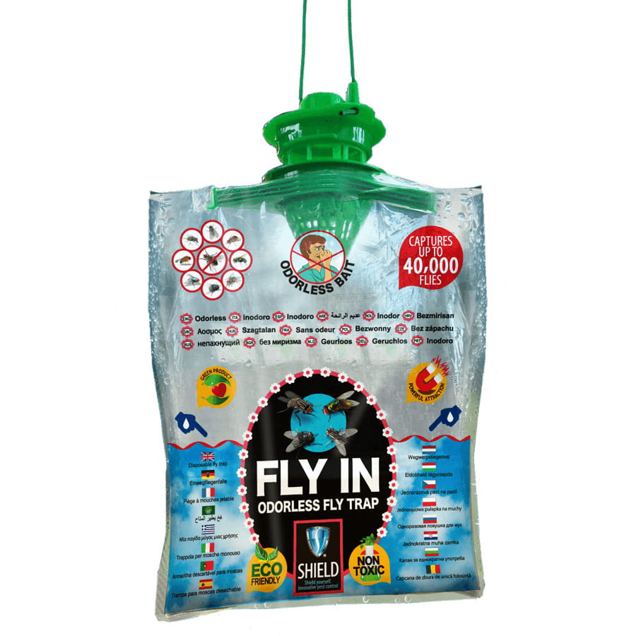 Pułapka przeciwko muchom Fly In Bezwonna
